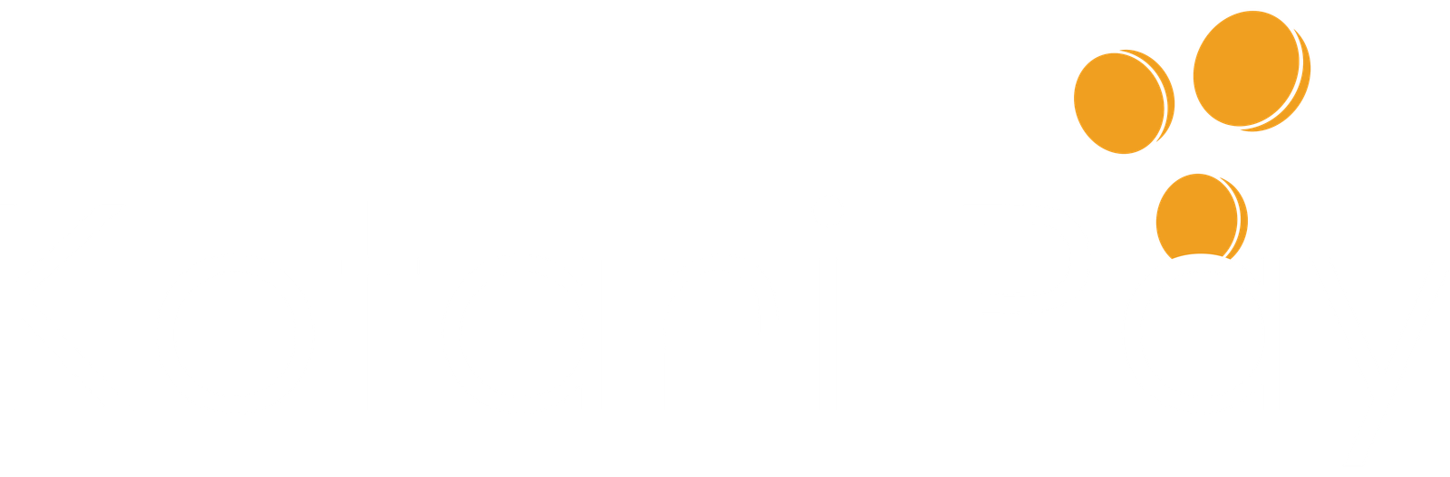 Kotani Pay Logo